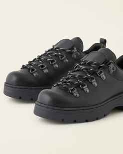 Nordic Shoe