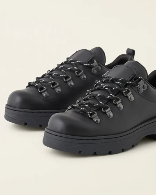 Nordic Shoe
