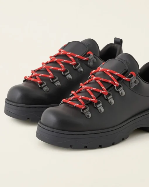Nordic Shoe
